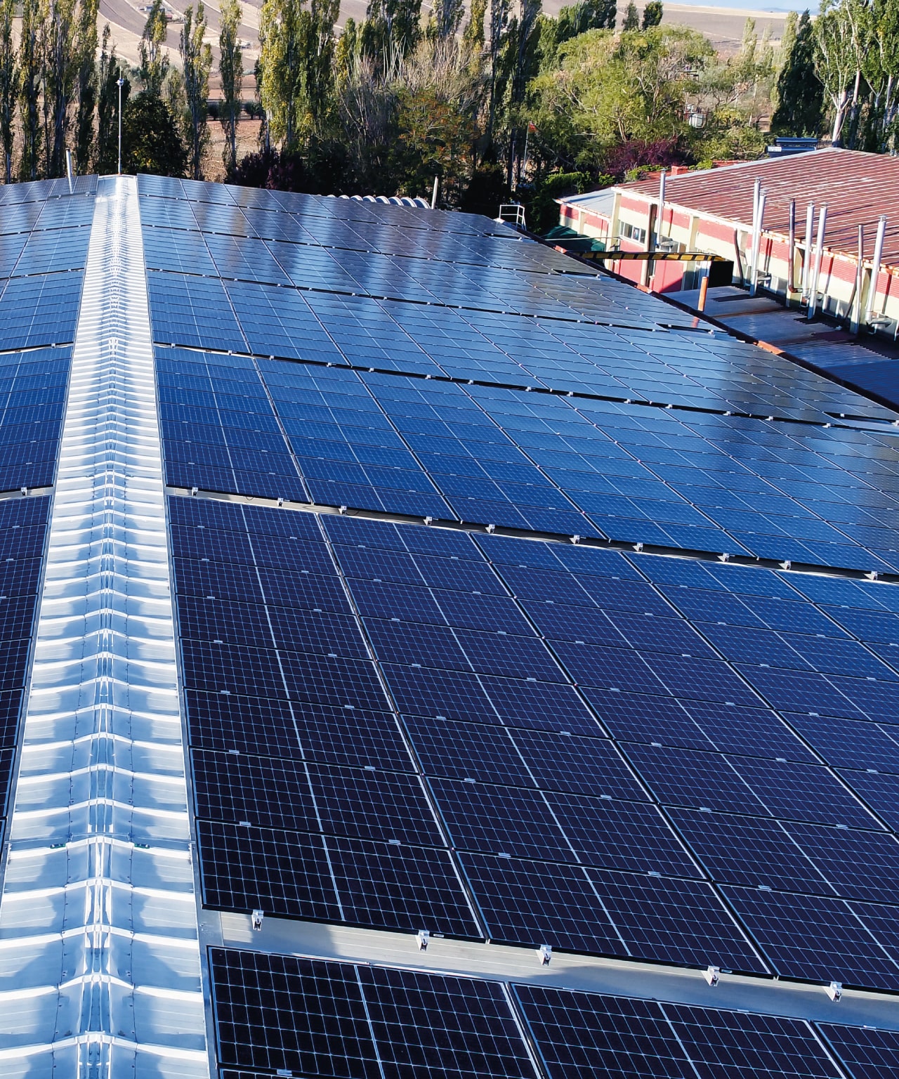 pannelli fotovoltaici sul tetto di un impianto industriale