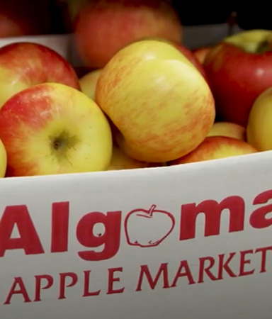 box of apples from Algoma Orchards