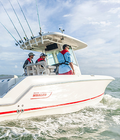 Brunswick boat on the water