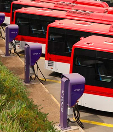 Electric buses at Enel X charging stations