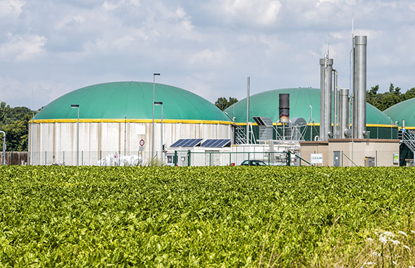 Renewable natural gas plant