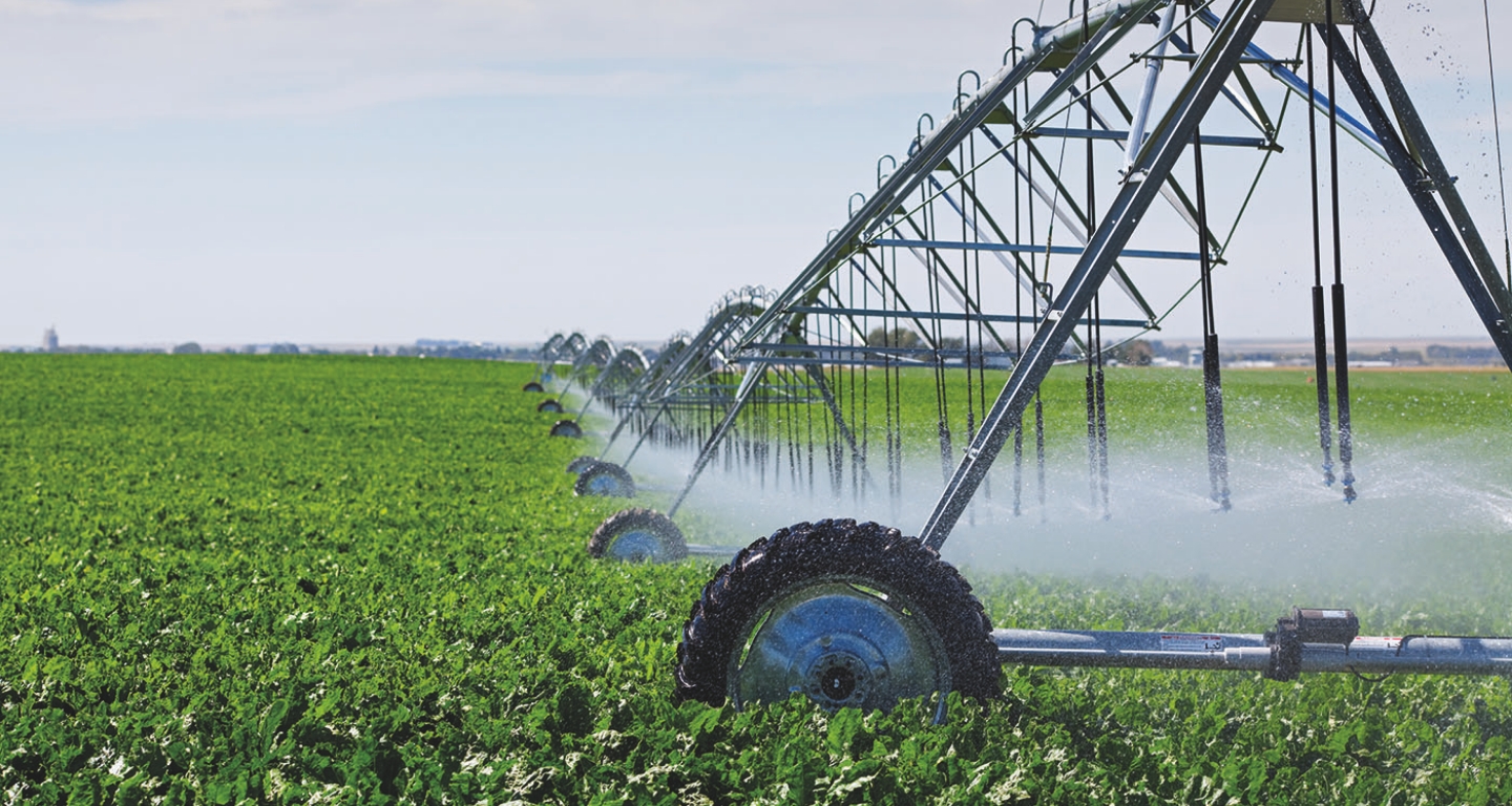 large-scale farming operation