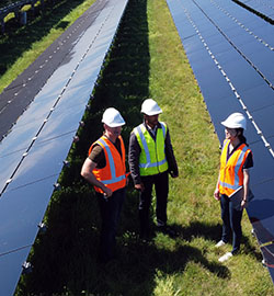 partners talking in a field of solar panels