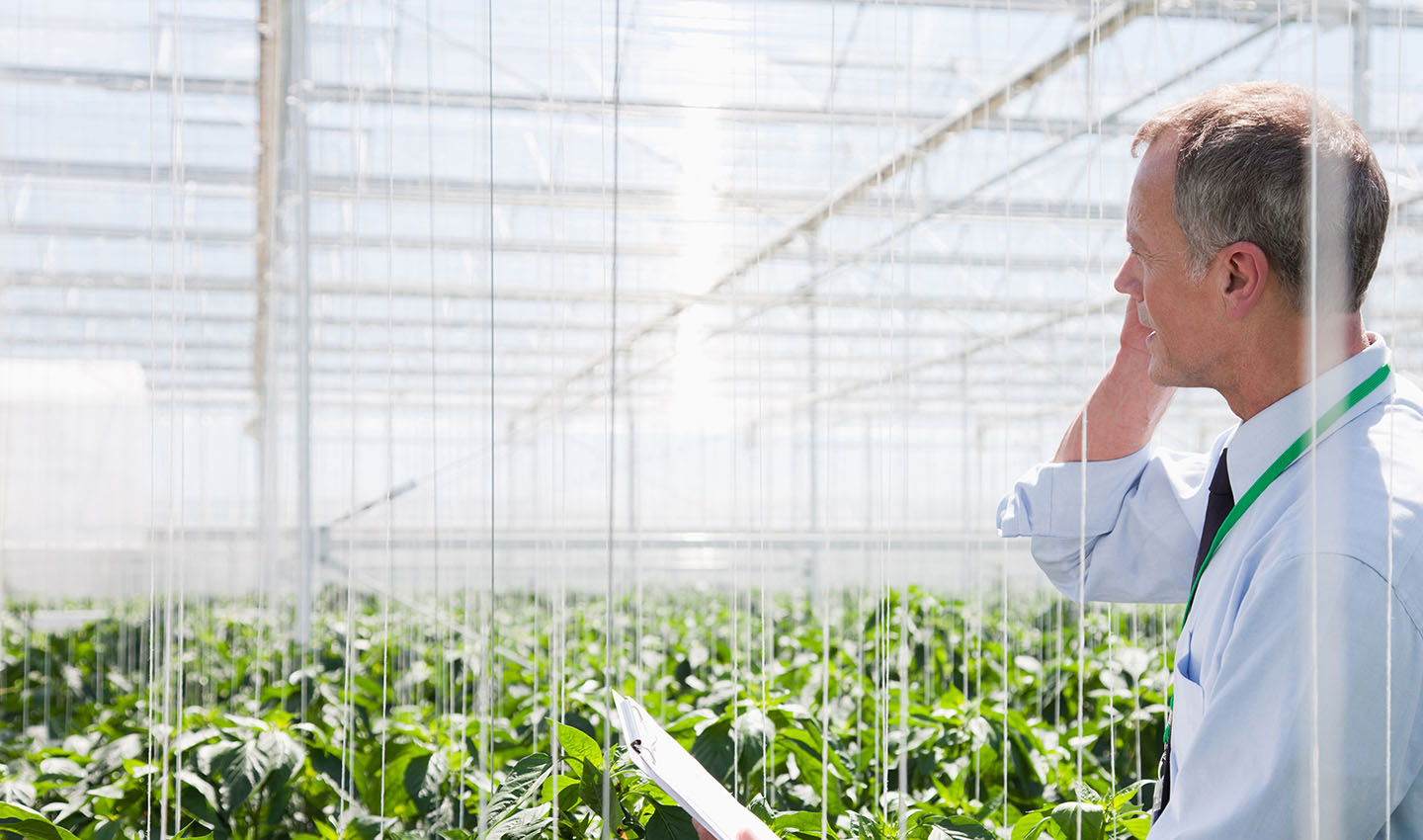businessman talking on cell phone in greenhouse