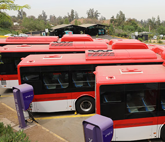 Rows of electric buses seen from above