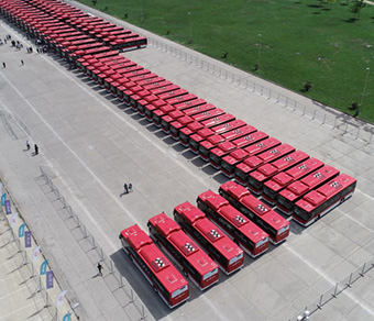 Rows of electric buses seen from above