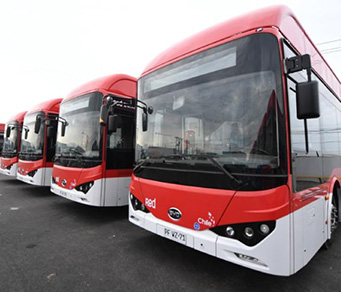 Row of parked electric buses