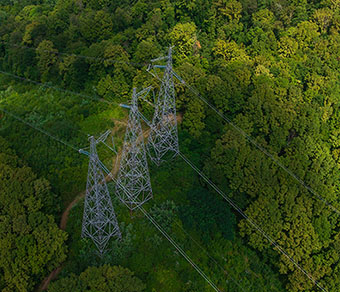 power lines through forest