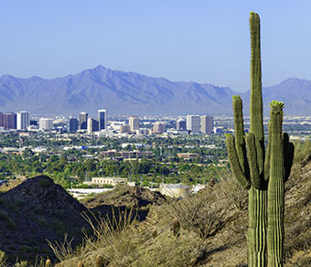 Phoenix, Arizona skyline with cactus