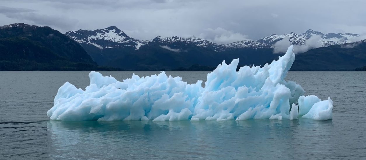 ¿Conoces las consecuencias del cambio climático y sus efectos a corto plazo?