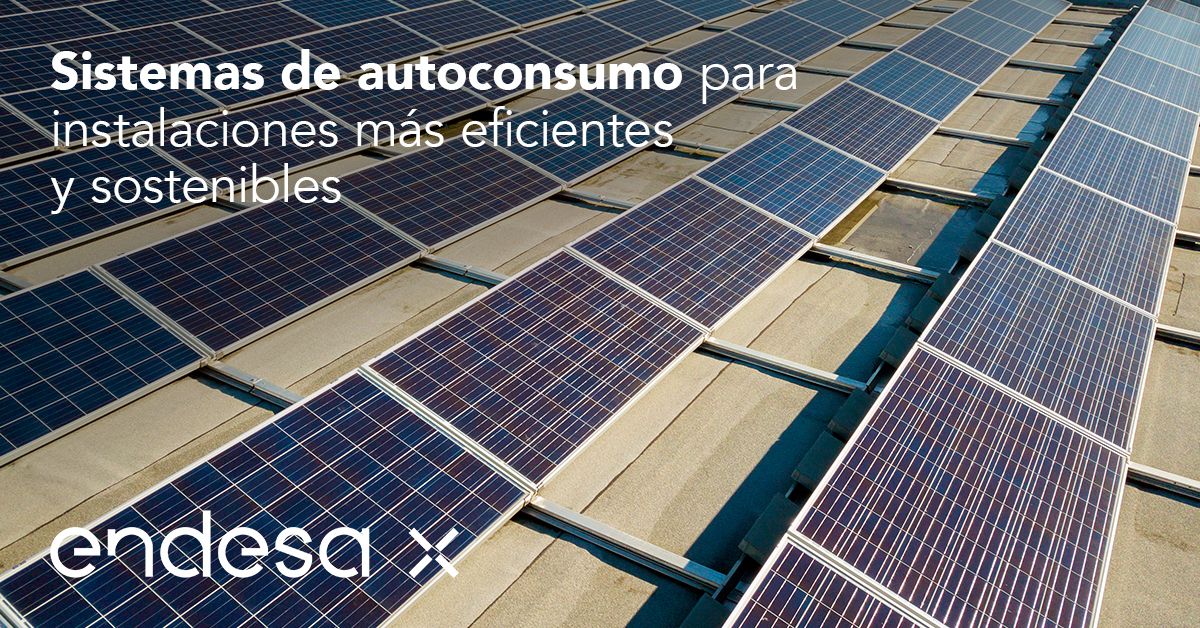 Endesa X logra que el 38% de la energía que consume Bodegas Pérez Barquero sea a través de autoconsumo 